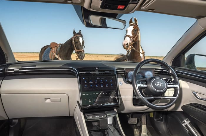 A tale of thoroughbreds